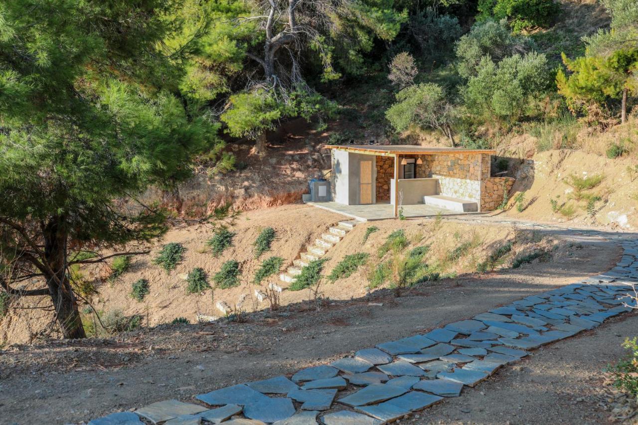 Thalasses Villas Skiathos Punta Exteriör bild